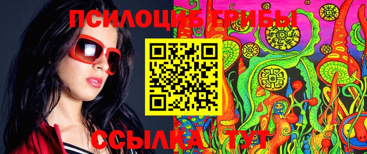 Псилоцибиновые грибы MAGIC MUSHROOMS  продажа наркотиков  Мыски  Вход с VPN 